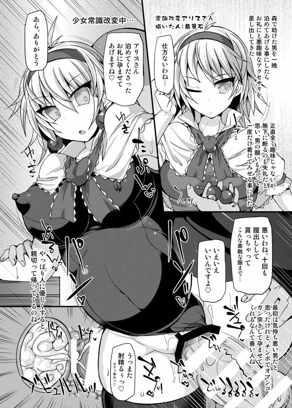 催眠♥マイペット東方アリス・マーガトロイド - page18