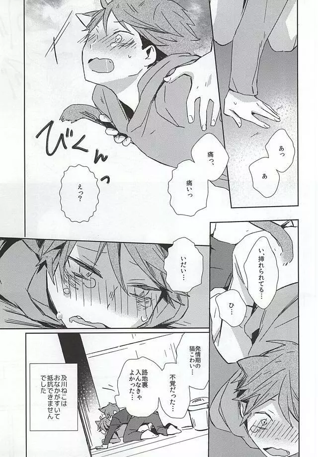 猫になった及川さん - page10