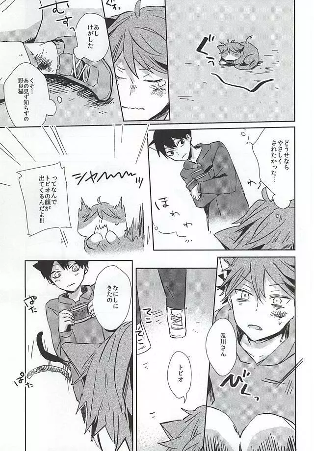 猫になった及川さん - page12