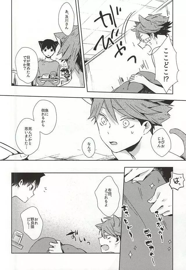 猫になった及川さん - page15