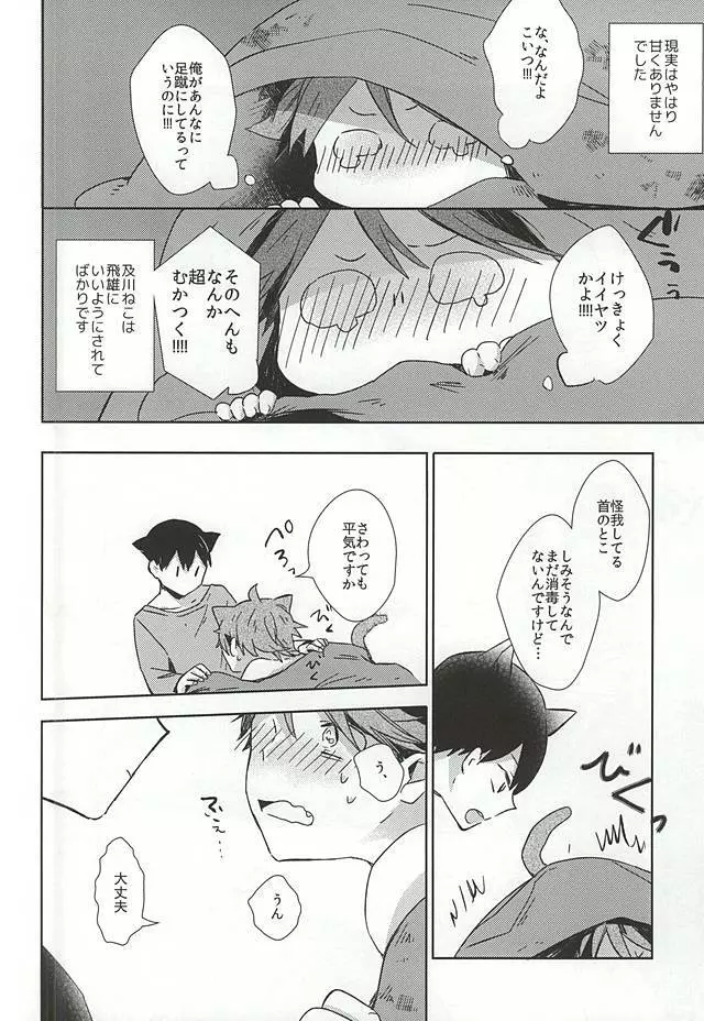 猫になった及川さん - page17