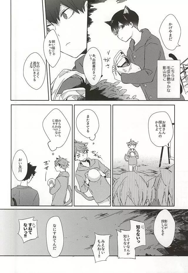 猫になった及川さん - page3