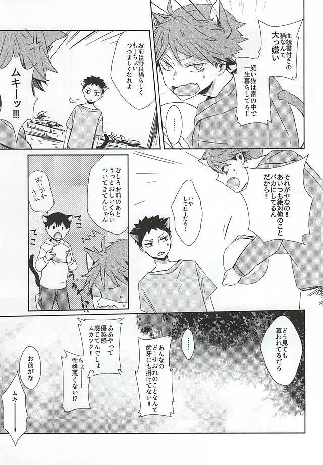 猫になった及川さん - page4