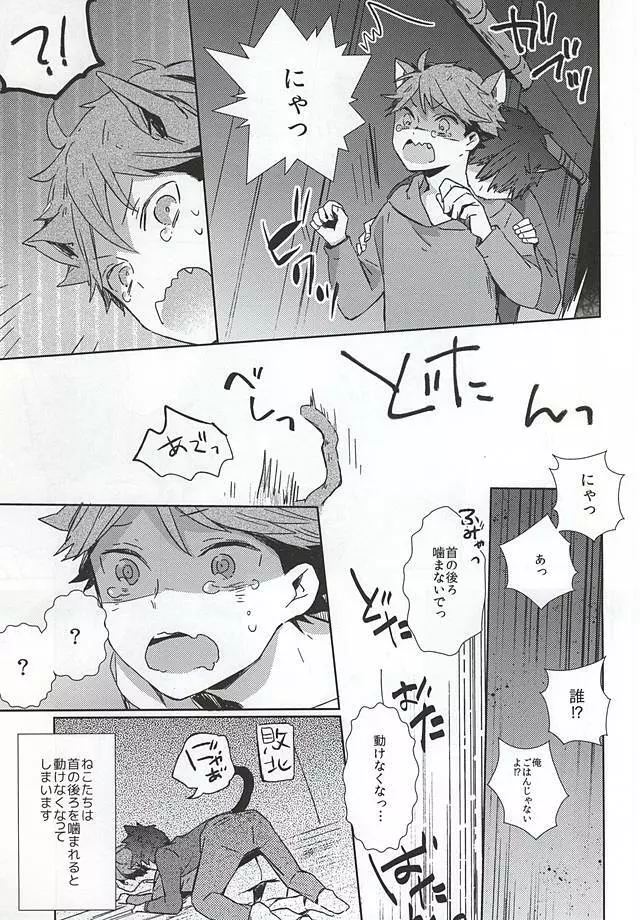 猫になった及川さん - page8