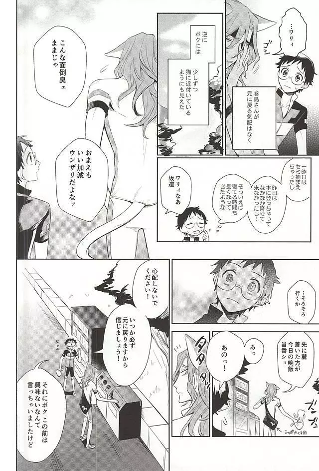 巻島さんが猫になってしまいました。 - page13