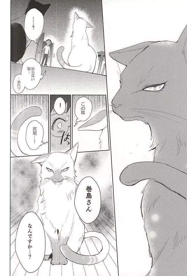 巻島さんが猫になってしまいました。 - page25