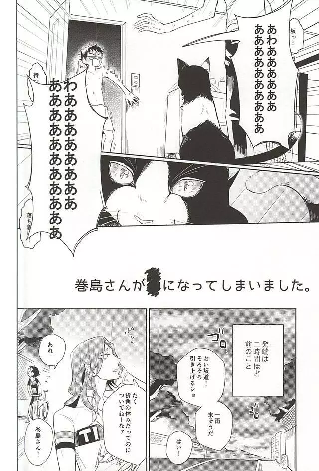 巻島さんが猫になってしまいました。 - page3