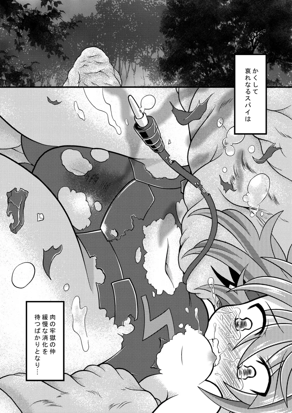 トルマリン漬け・鬼龍産 - page17