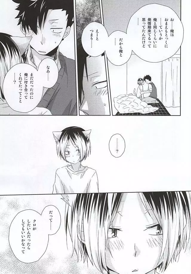 猫男一族の交尾レポート - page24