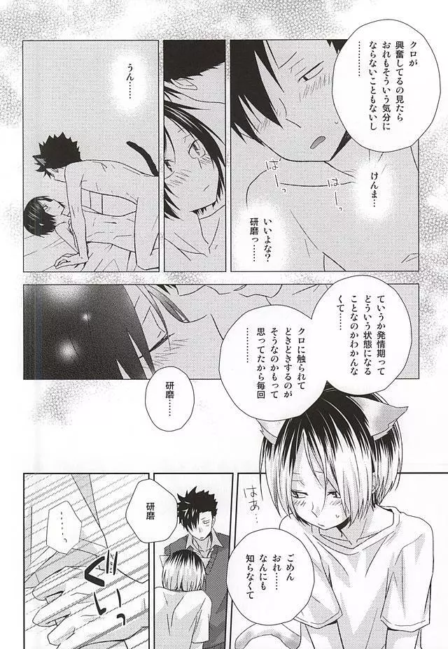 猫男一族の交尾レポート - page25