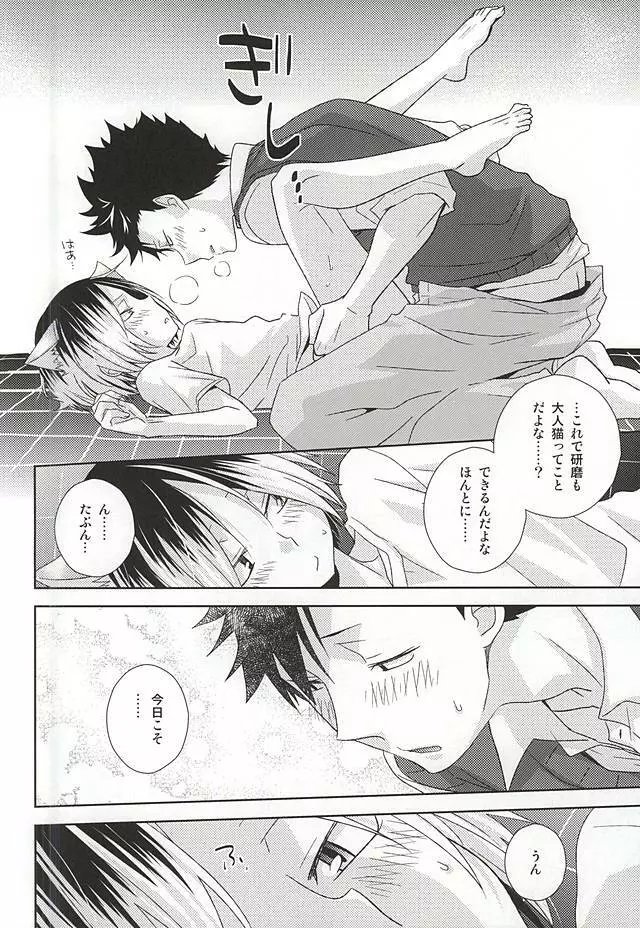 猫男一族の交尾レポート - page31