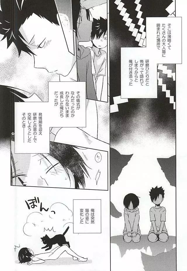 猫男一族の交尾レポート - page5