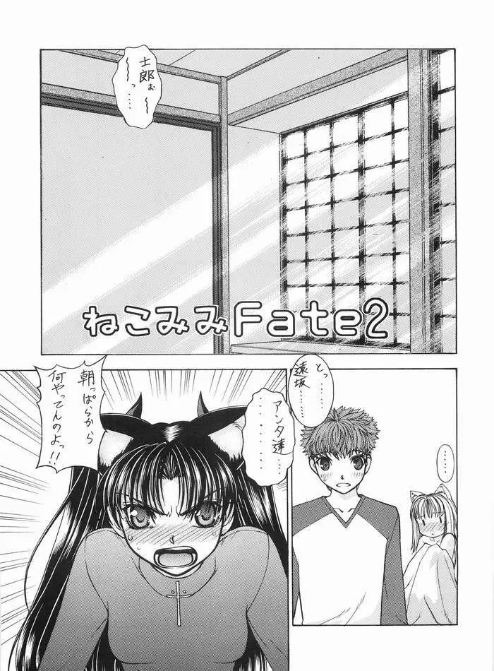 ねこみみFate 2 - page5