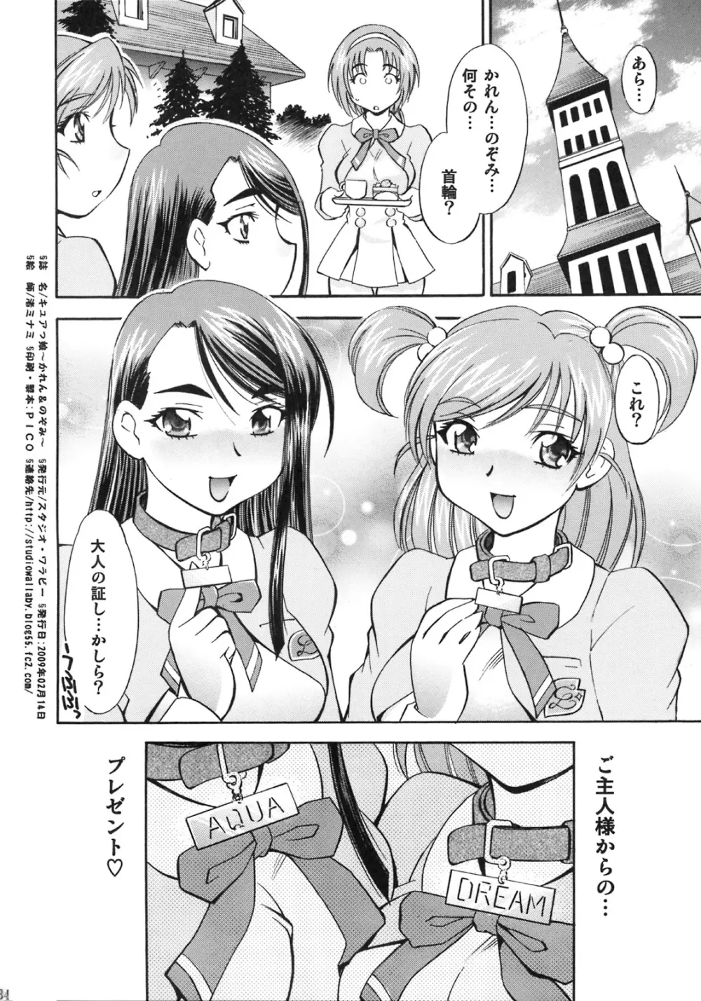 キュアっ娘 かれん&のぞみ - page31