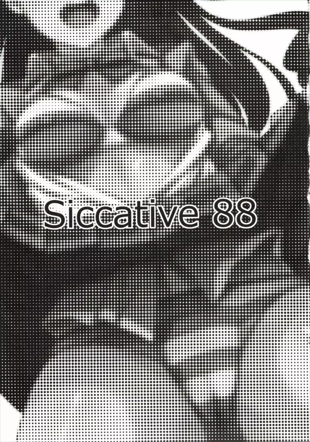 Siccative 88 - page2