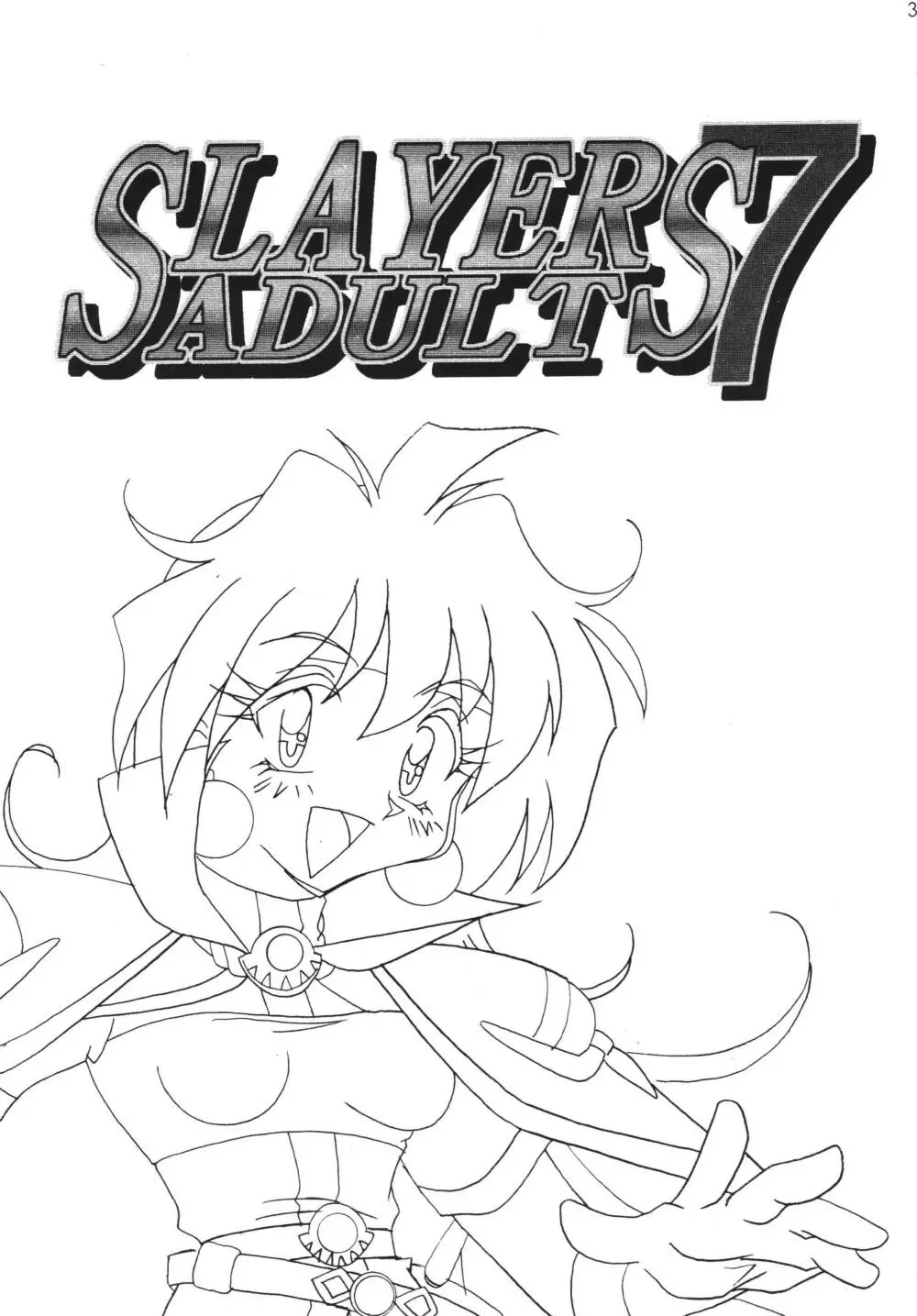 SLAYERS ADULT 7 - page3