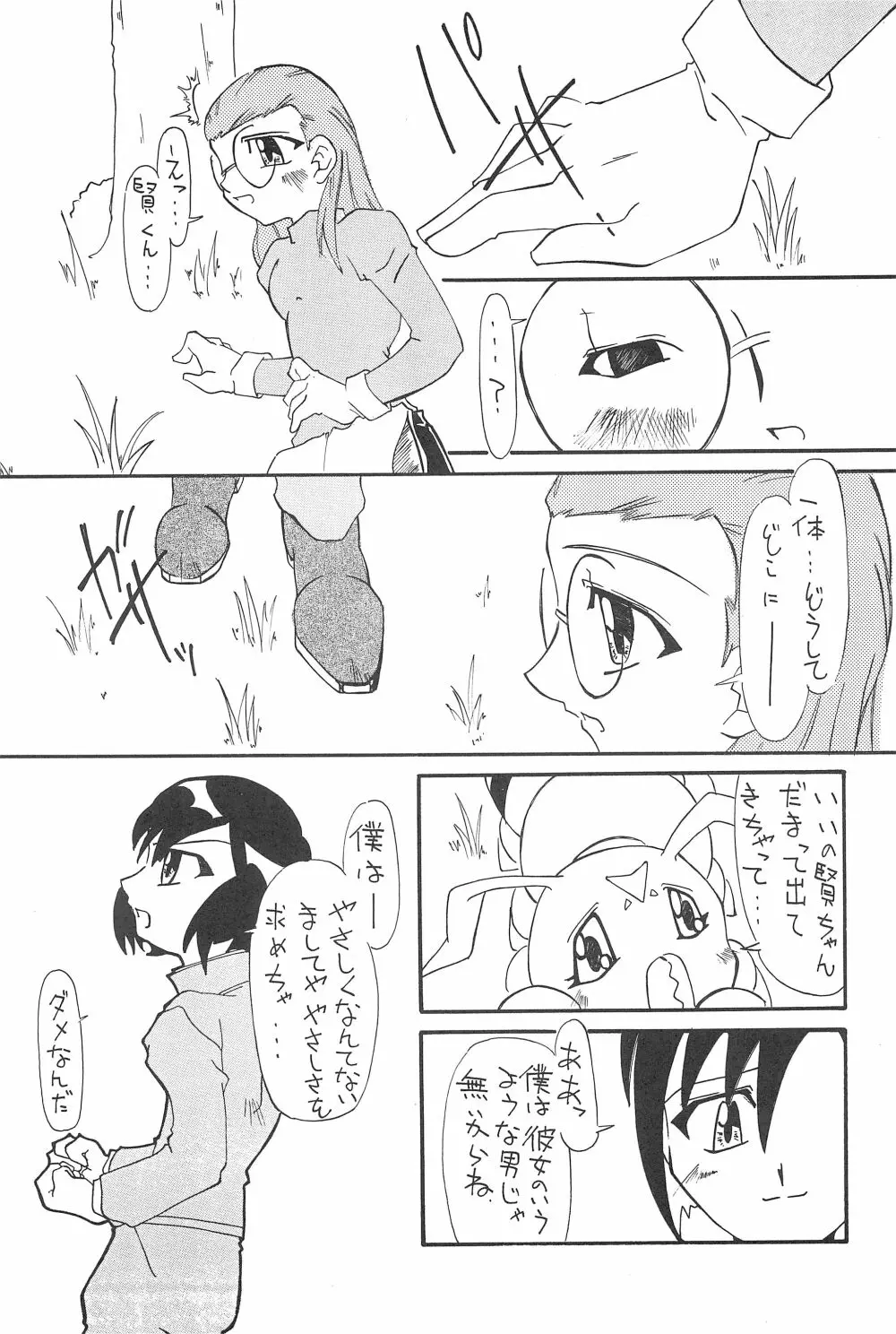 グラジオラス - page29