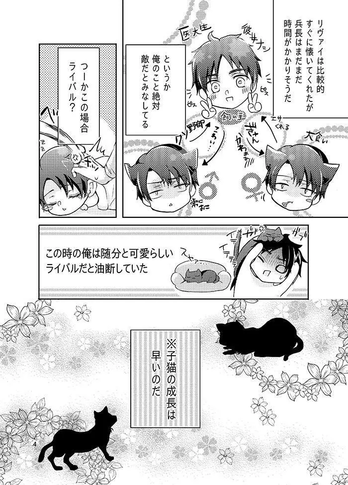 双子猫拾いました - page6