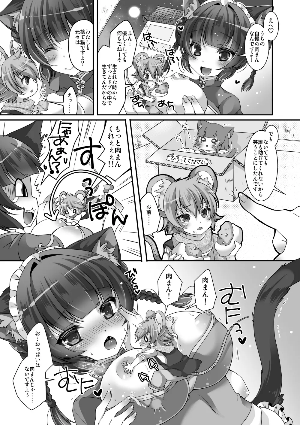 マイクローンマガジン Vol.32 - page47