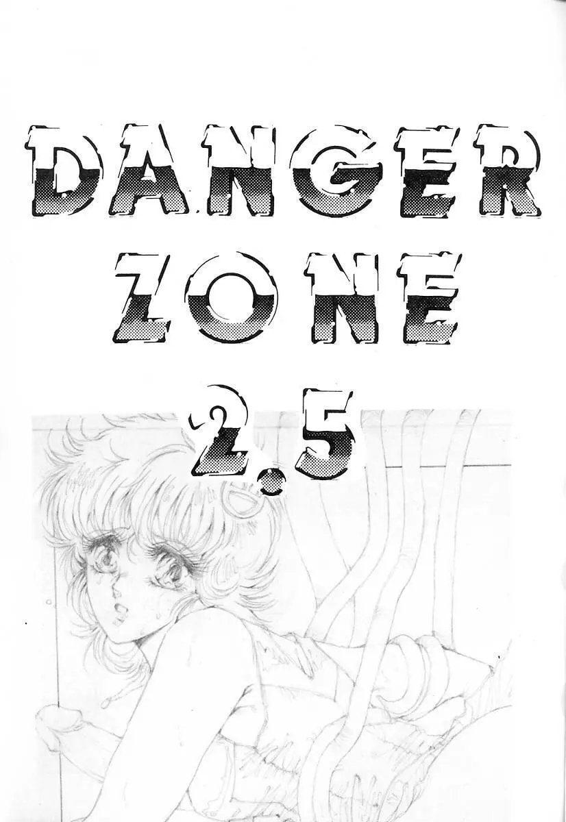 DANGER ZONE2.5 危険地域2.5 - page4