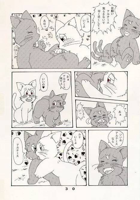 だって猫なんだモン！ - page6