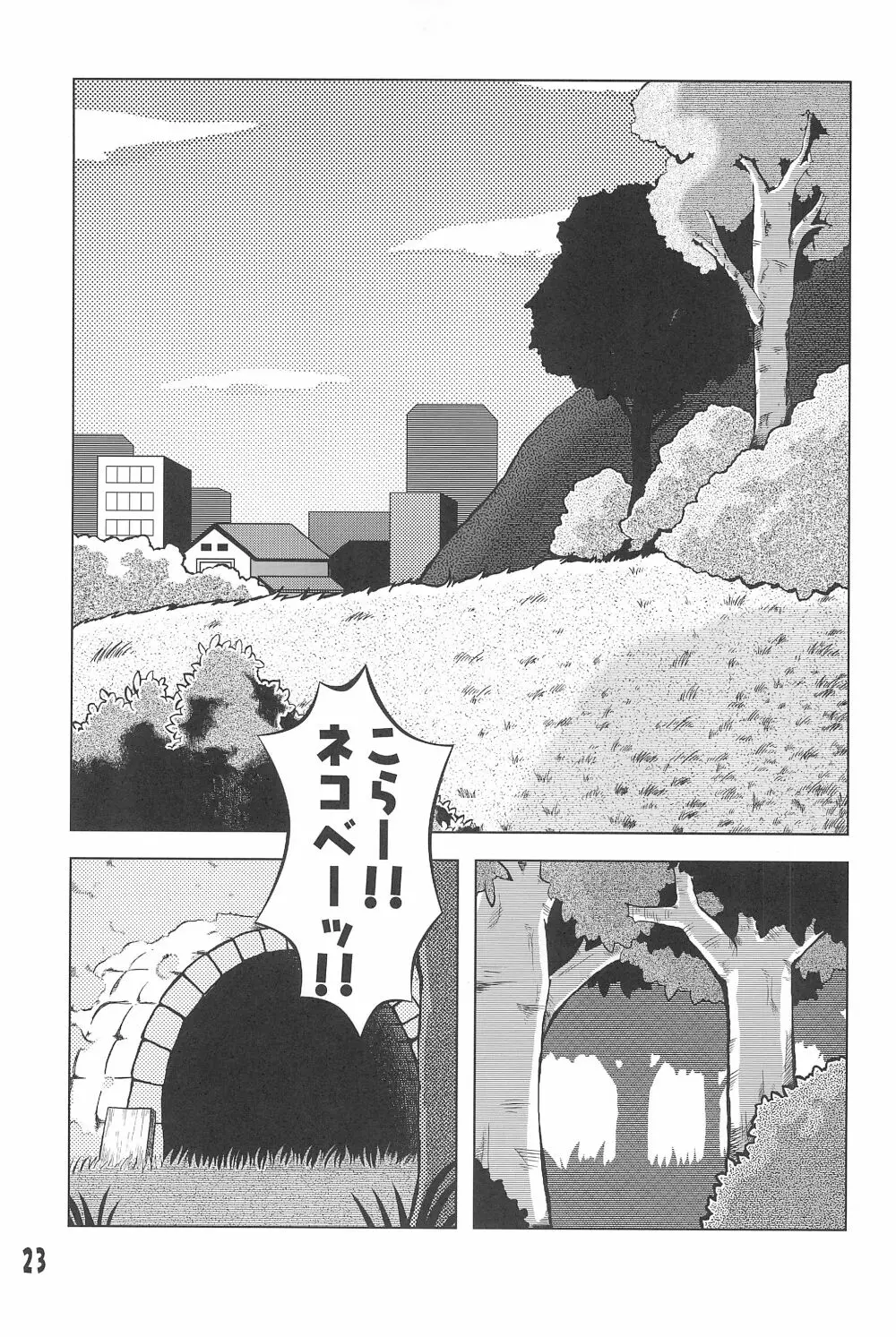 玩具姫 黒川うさぎ編 - page23