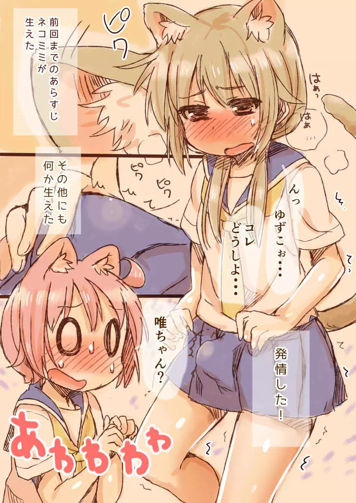 ねこみみと発情とステキな何か - page3