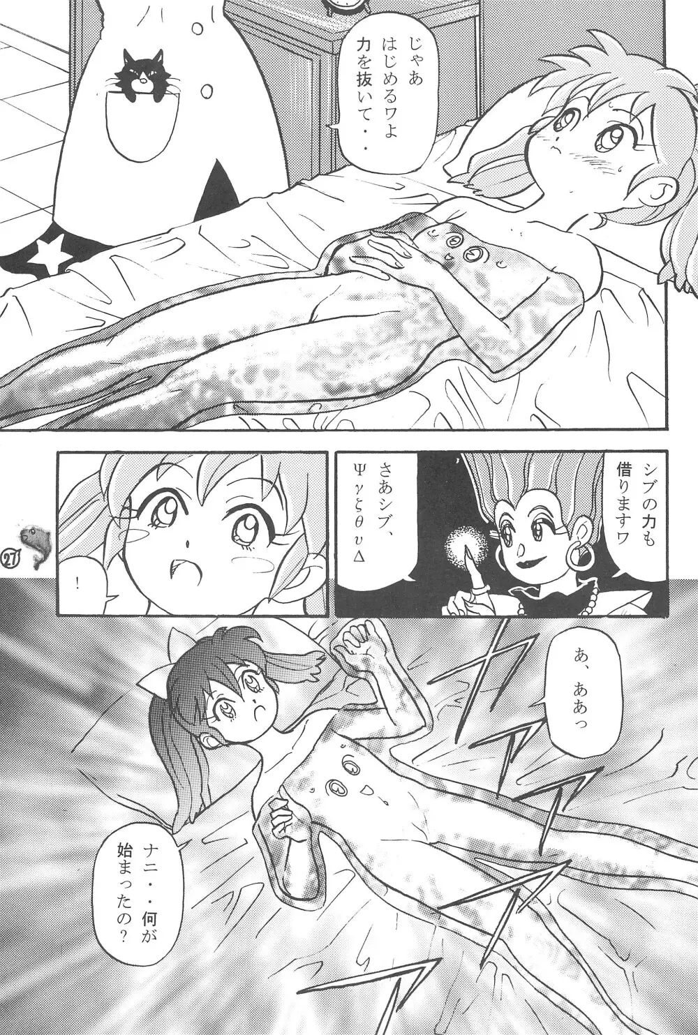 ファンファンプニティー - page27