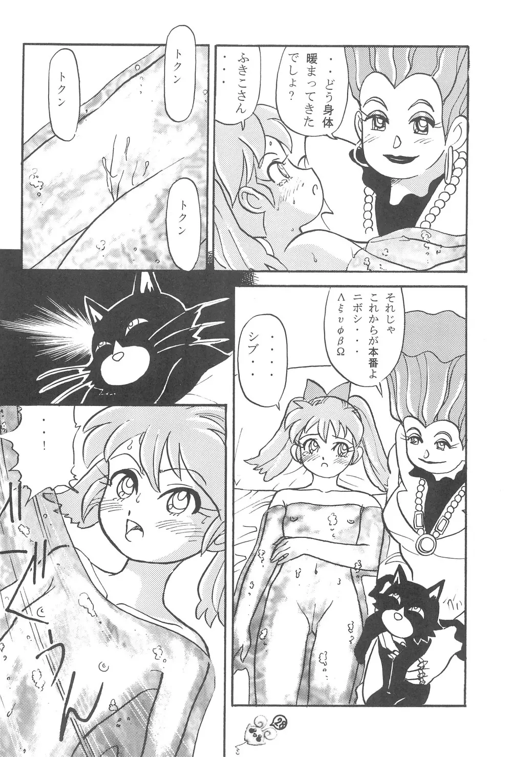 ファンファンプニティー - page28