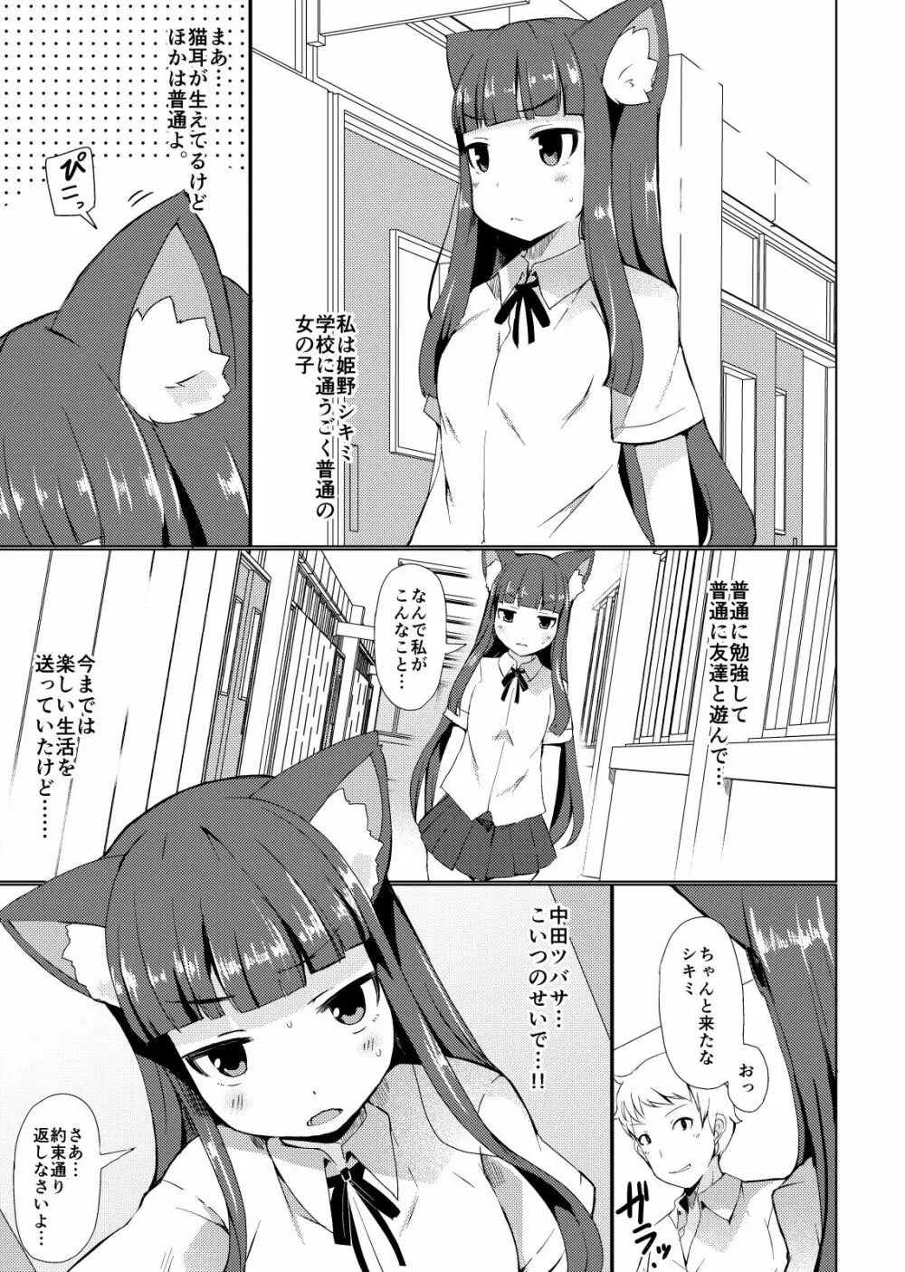 姫野シキミは肉便器 - page3