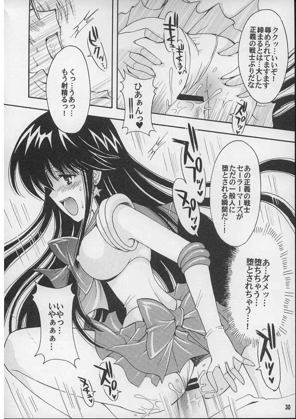 僕の彼女はセーラー戦士 2 - page29