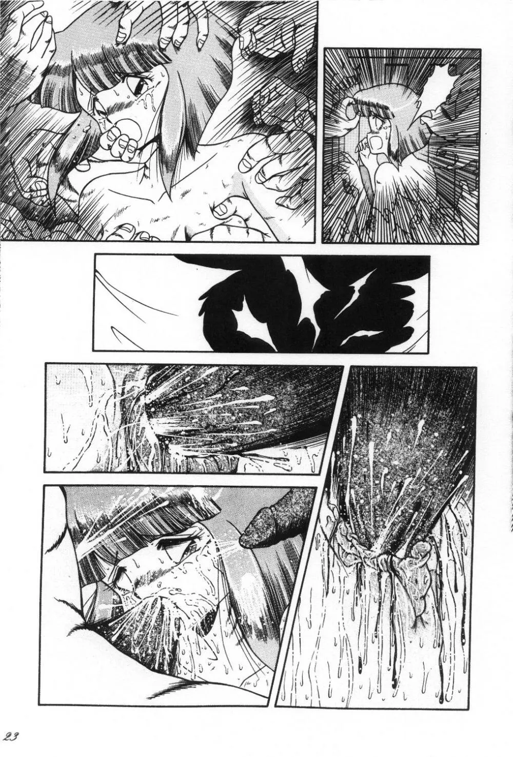Cat's Mate RX - page24