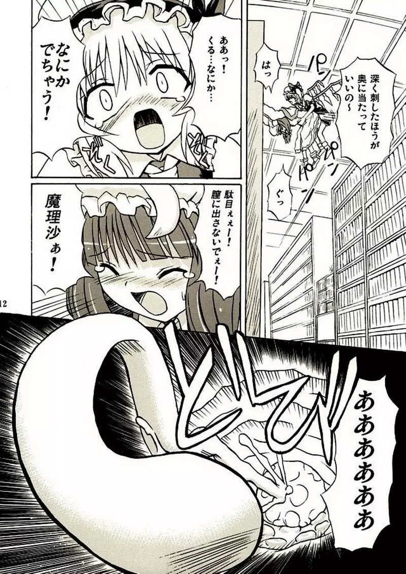 東方妖女乱舞2 - page11