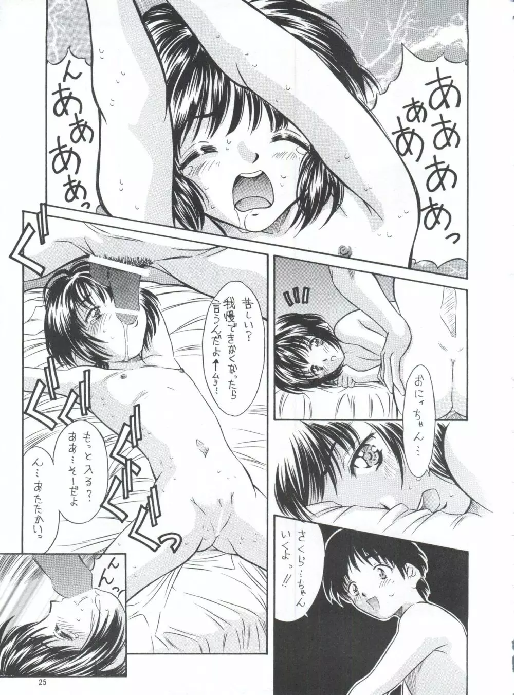 平成にんふらばぁ 5 - page24