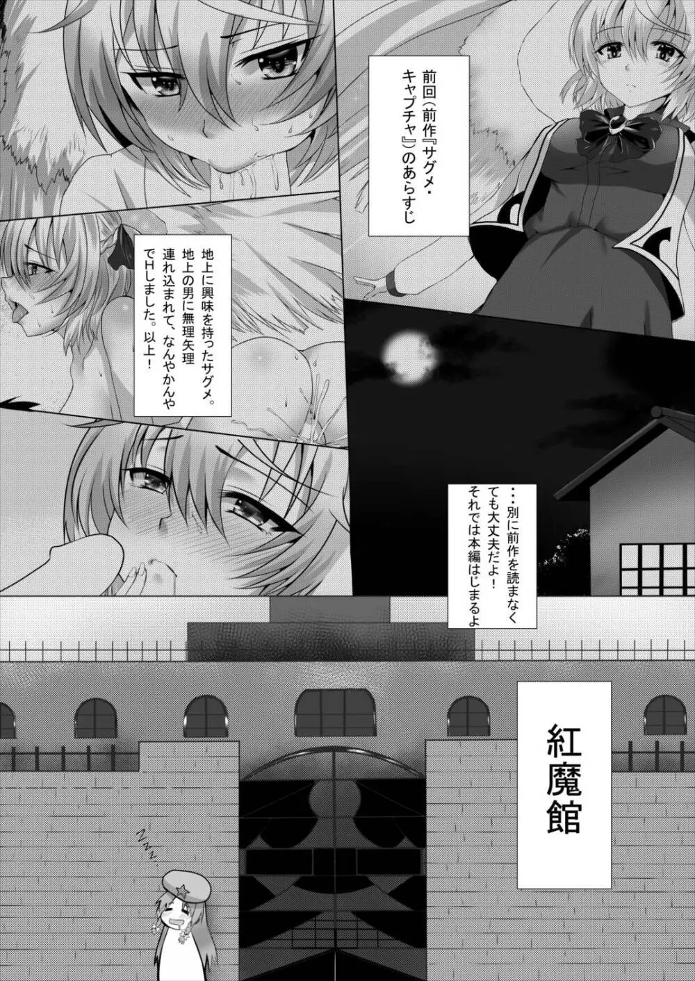 サグメ・キャプチャ2 - page2