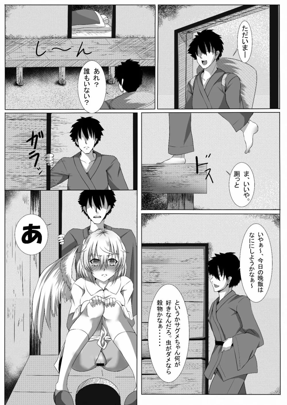 サグメ・キャプチャ - page5