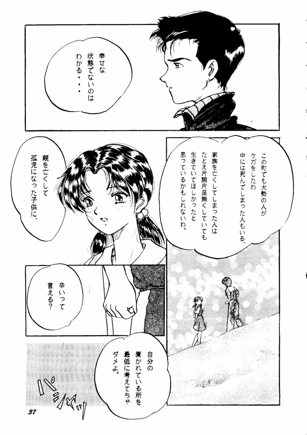 (C50) [スタジオぼくさぁ (嶌隆、貴) HO･HE・TO 13 (新世紀エヴァンゲリオン) - page36